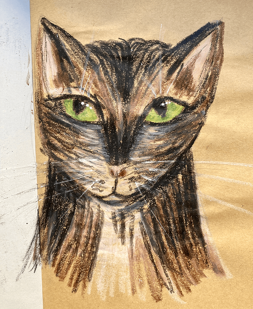 Katzenportrait mit Wachsmalkreide auf Packpapier