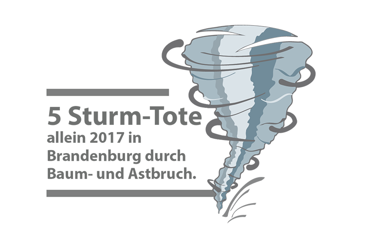 Sturm Illustration, Icon Orkan