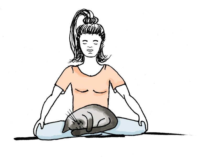 Illustration Yoga Übung Lotussitz mit Katze