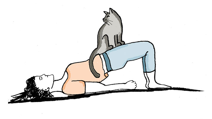 Illustration Yoga Übung Brücke mit Katze