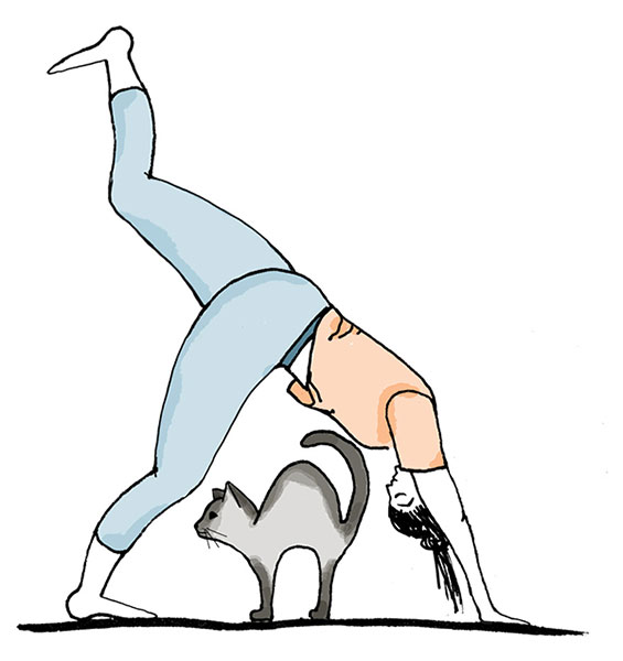 Illustration Yoga Übung Down Dog mit Katze