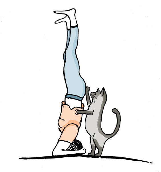 Illustration Yoga Übung Kopfstand mit Katze