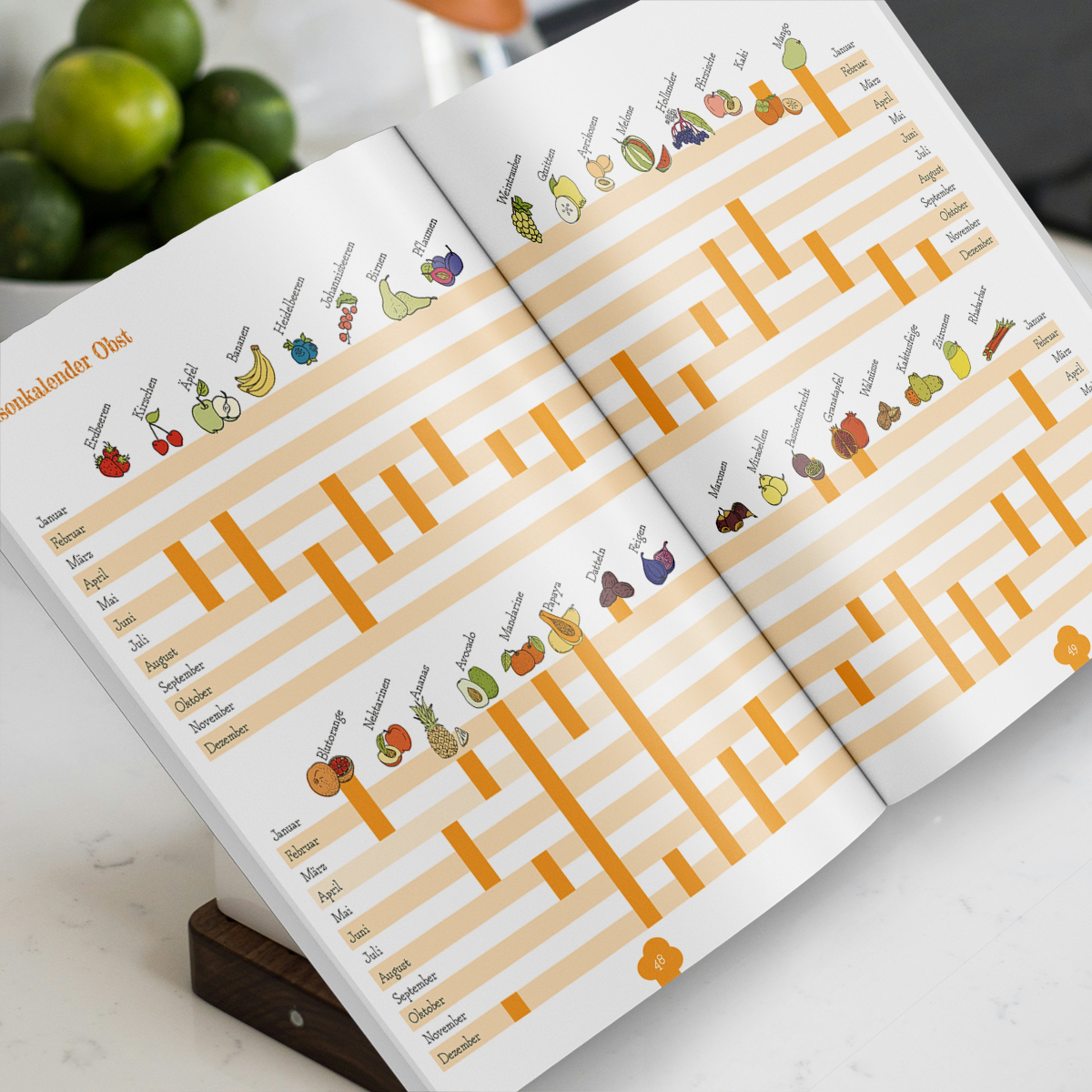 Kulinarische Begegnungen, Rezeptbuch zum selbst ausfüllen, Kochen mit Freunden, Küchen Illustrationen, Doppelseite mit Saisonkalender für Obst, Obst Illustrationen