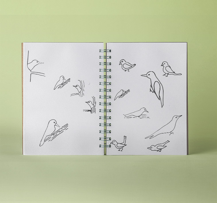 Logo Scribbles für Kita Buntspecht