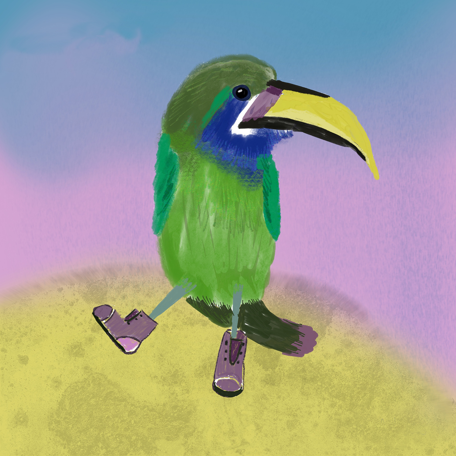 Birds with shoes: Northern Emerald Tucan