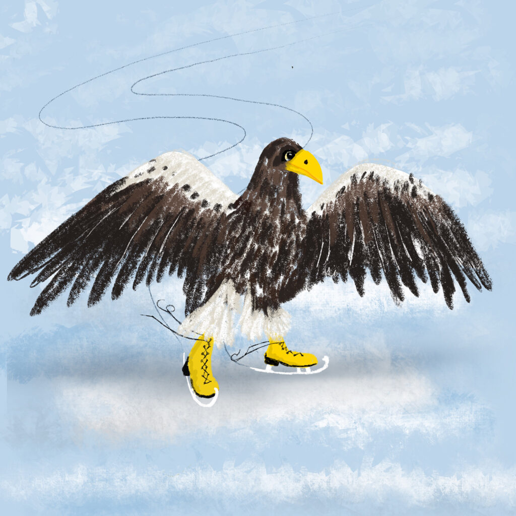 Birds with shoes: Sea Eagle